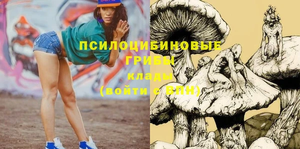СК Переславль-Залесский